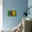 Flag of Cameroon on Grass-raphtong-Art Print displayed on a wall