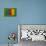 Flag of Cameroon on Grass-raphtong-Art Print displayed on a wall