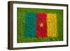 Flag of Cameroon on Grass-raphtong-Framed Art Print