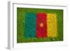 Flag of Cameroon on Grass-raphtong-Framed Art Print