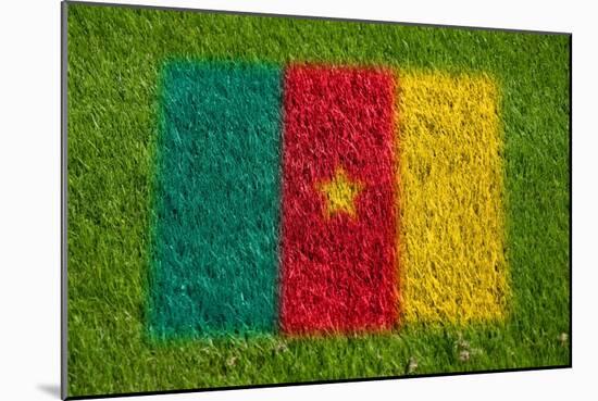 Flag of Cameroon on Grass-raphtong-Mounted Art Print