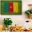 Flag of Cameroon on Grass-raphtong-Framed Stretched Canvas displayed on a wall