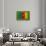 Flag of Cameroon on Grass-raphtong-Stretched Canvas displayed on a wall