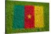 Flag of Cameroon on Grass-raphtong-Stretched Canvas