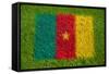 Flag of Cameroon on Grass-raphtong-Framed Stretched Canvas