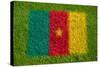 Flag of Cameroon on Grass-raphtong-Stretched Canvas