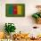 Flag of Cameroon on Grass-raphtong-Framed Stretched Canvas displayed on a wall