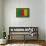 Flag of Cameroon on Grass-raphtong-Framed Stretched Canvas displayed on a wall