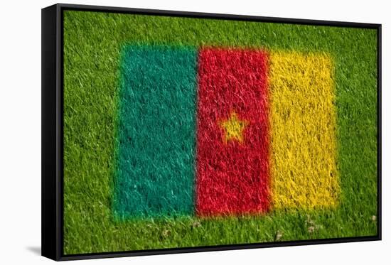Flag of Cameroon on Grass-raphtong-Framed Stretched Canvas