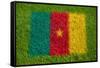 Flag of Cameroon on Grass-raphtong-Framed Stretched Canvas