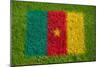 Flag of Cameroon on Grass-raphtong-Mounted Premium Giclee Print