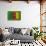 Flag of Cameroon on Grass-raphtong-Art Print displayed on a wall