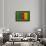 Flag of Cameroon on Grass-raphtong-Framed Art Print displayed on a wall