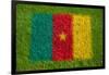 Flag of Cameroon on Grass-raphtong-Framed Art Print