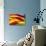 Flag of Catalonia-Yuinai-Art Print displayed on a wall