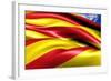 Flag of Catalonia-Yuinai-Framed Art Print