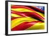 Flag of Catalonia-Yuinai-Framed Art Print