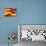 Flag of Catalonia-Yuinai-Art Print displayed on a wall