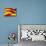 Flag of Catalonia-Yuinai-Mounted Art Print displayed on a wall