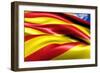 Flag of Catalonia-Yuinai-Framed Premium Giclee Print