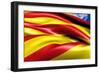 Flag of Catalonia-Yuinai-Framed Premium Giclee Print
