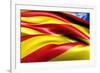 Flag of Catalonia-Yuinai-Framed Art Print