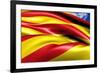 Flag of Catalonia-Yuinai-Framed Art Print