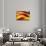 Flag of Catalonia-Yuinai-Art Print displayed on a wall