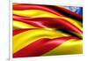 Flag of Catalonia-Yuinai-Framed Art Print