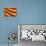 Flag of Catalonia-Cla78-Art Print displayed on a wall