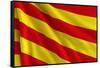 Flag of Catalonia-Cla78-Framed Stretched Canvas