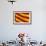 Flag of Catalonia-Cla78-Framed Art Print displayed on a wall