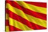 Flag of Catalonia-Cla78-Stretched Canvas