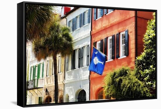 Flag Of Charleston With Palmetto And Crescent Moon-George Oze-Framed Stretched Canvas