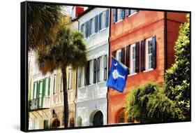 Flag Of Charleston With Palmetto And Crescent Moon-George Oze-Framed Stretched Canvas