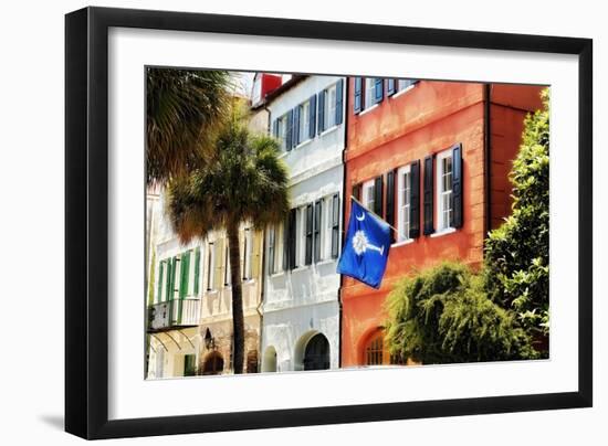 Flag Of Charleston With Palmetto And Crescent Moon-George Oze-Framed Photographic Print