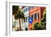 Flag Of Charleston With Palmetto And Crescent Moon-George Oze-Framed Photographic Print