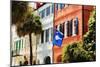 Flag Of Charleston With Palmetto And Crescent Moon-George Oze-Mounted Photographic Print