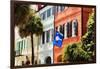 Flag Of Charleston With Palmetto And Crescent Moon-George Oze-Framed Photographic Print