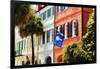 Flag Of Charleston With Palmetto And Crescent Moon-George Oze-Framed Photographic Print