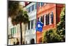 Flag Of Charleston With Palmetto And Crescent Moon-George Oze-Mounted Premium Photographic Print