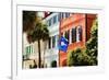 Flag Of Charleston With Palmetto And Crescent Moon-George Oze-Framed Photographic Print