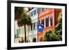 Flag Of Charleston With Palmetto And Crescent Moon-George Oze-Framed Photographic Print