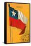 Flag of Chile-null-Framed Stretched Canvas