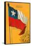 Flag of Chile-null-Framed Stretched Canvas