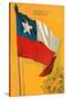 Flag of Chile-null-Stretched Canvas