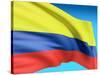 Flag Of Colombia-bioraven-Stretched Canvas