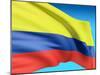 Flag Of Colombia-bioraven-Mounted Art Print