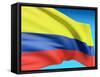 Flag Of Colombia-bioraven-Framed Stretched Canvas