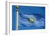 Flag of Conch Republic-jiawangkun-Framed Photographic Print